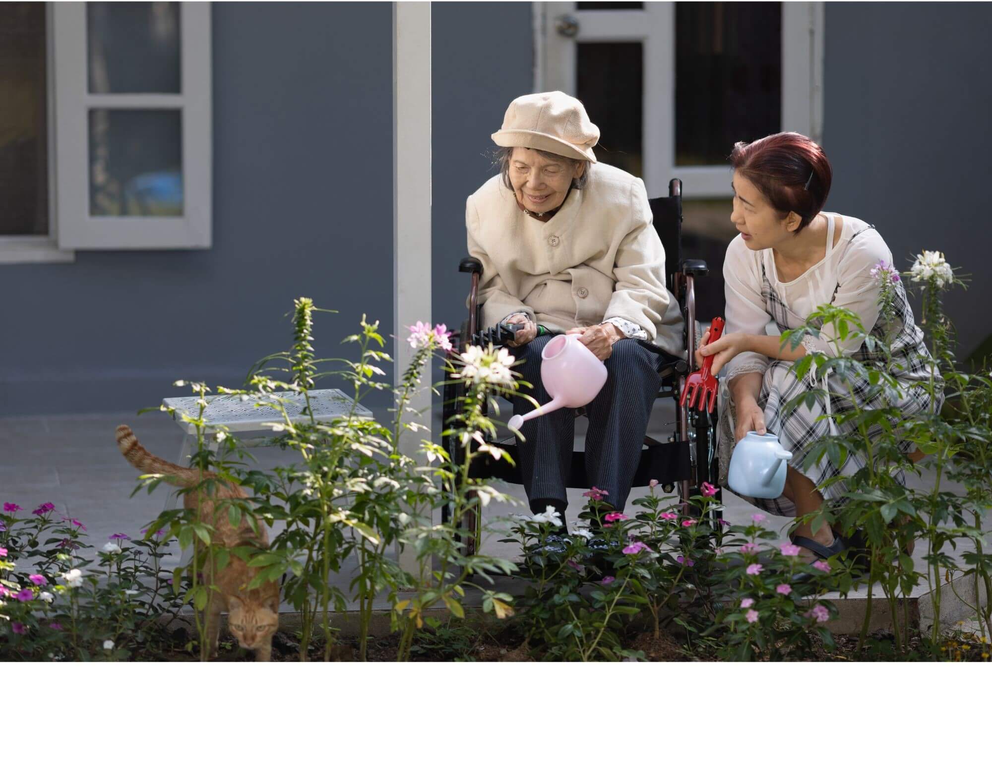 Two women watering plants. One in wheelchair Two women watering plants. One in wheelchair